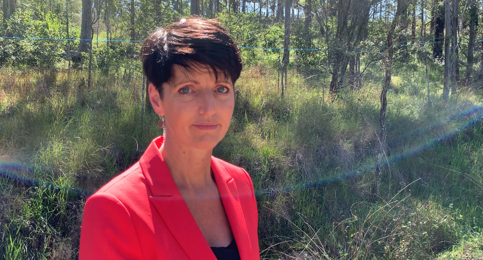 NSW Labor environment spokesperson Kate Washington said the development approval is "really upsetting. Source: Michael Dahlstrom / Yahoo News Australia
