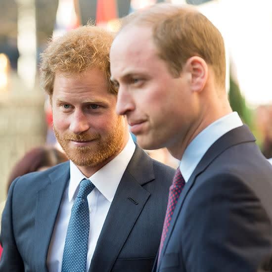 Here's who got Prince William and Prince Harry to open up about their mother. Photo: Getty Images