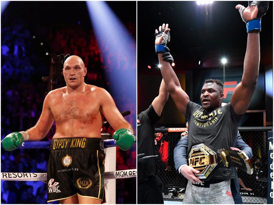 Might the boxing and UFC heavyweight champions one day meet in the ring?  (Getty)