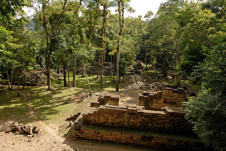 <div class="inline-image__caption"><p>Copan temple in Honduras.</p></div> <div class="inline-image__credit">Michel Gounot</div>