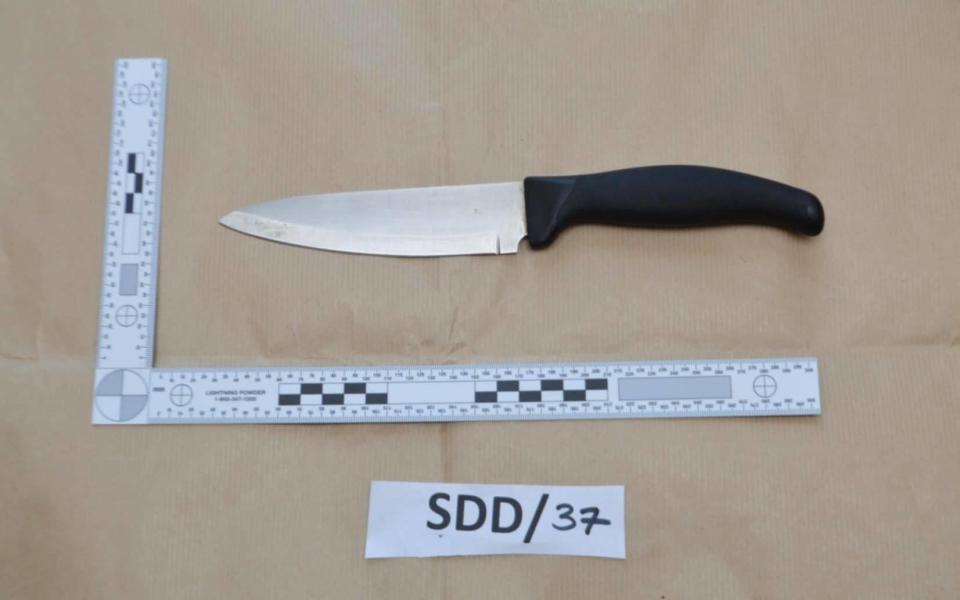  a knife, shown at Woolwich Crown Court, relating to the trial of Sneha Chowdhury and Mohiussunnath Chowdhury. - PA