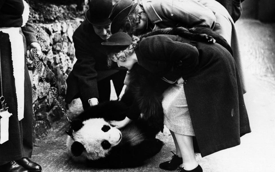 Visitors to London Zoo crowd around 'Ming' the panda in 1939