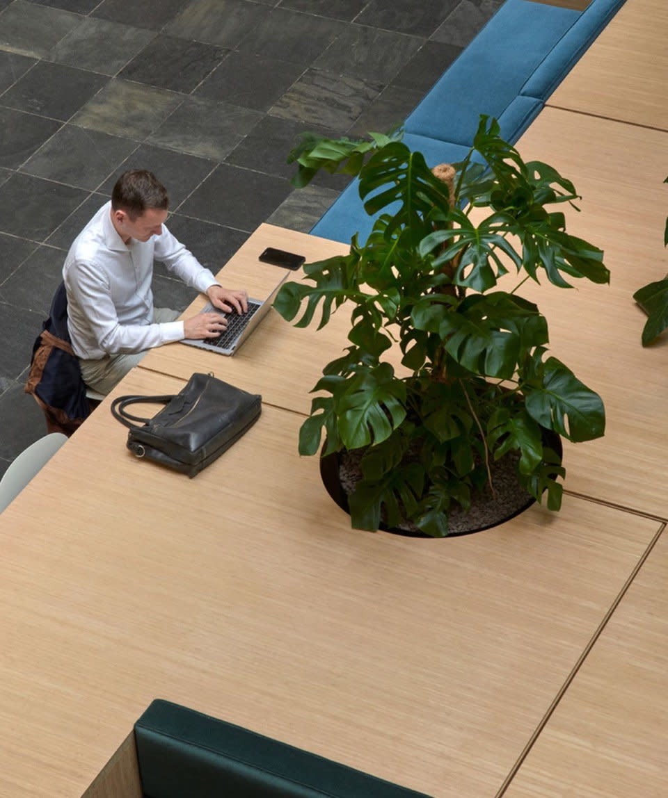 Man works at a mobile bamboo work island inside the University of Amsterdam's Maagdenhuis Hall. 