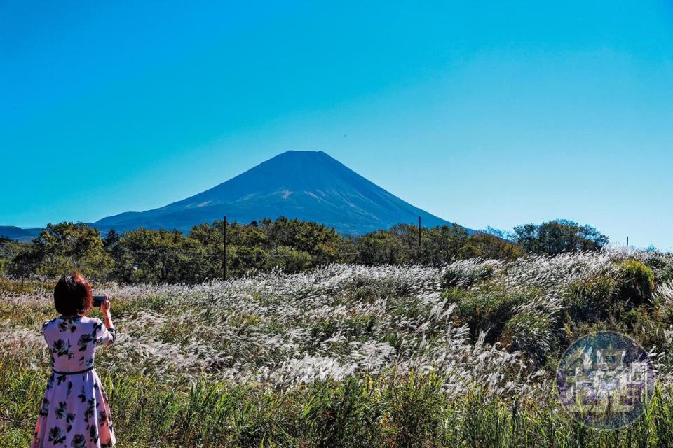 秋颱剛過，天空中一絲雲都沒有，在靜岡的公路旁，可看到富士山最乾淨的線條樣貌。