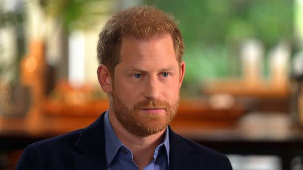 PHOTO: Prince Harry during an interview with ABC News. (ABC News)