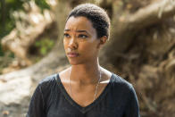 <p>Sonequa Martin-Green as Sasha Williams in AMC’s The Walking Dead. <br>(Credit: Gene Page/AMC) </p>