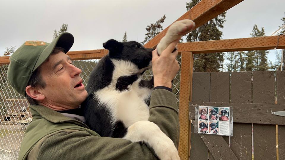Denali's kennels manager David Tomeo helps Mike wave to viewers on the park's puppy webcam.
