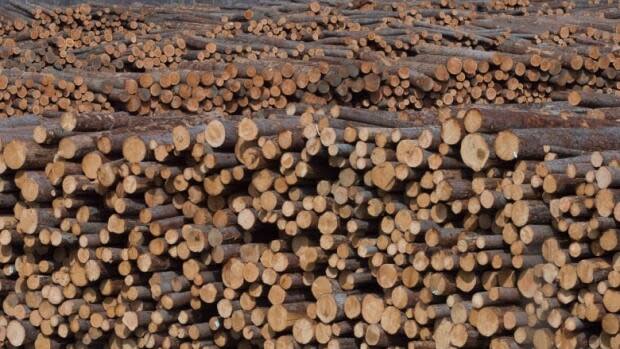 Acadian Timber Corp. owns 308,000 hectares of New Brunswick forest and sells sawlogs and pulpwood to provincial mills.  Last week, the company was called an 