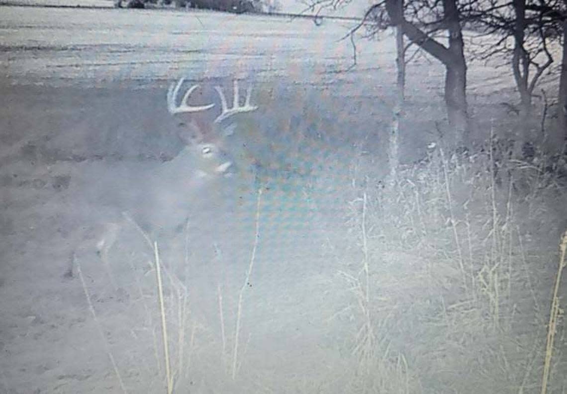 I had a run-in with this buck while sitting on the ground with my bow last week. This photo was from November 2021.