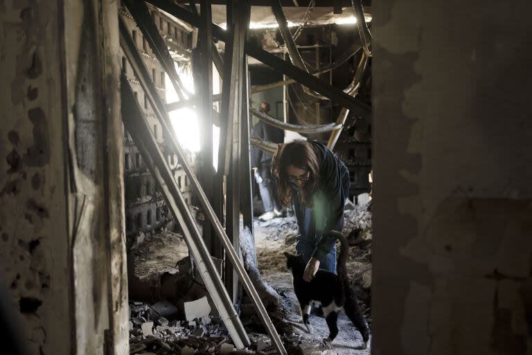 Sharon Alony Cunio se reúne con su gato, Elvis, el lunes 15 de enero de 2024, en las ruinas de su casa en Kibbutz Nir Oz desde donde fue secuestrada con sus hijas y su esposo el 7 de octubre de 2023. Militantes de Hamas (AP Photo/Maya Alleruzzo)