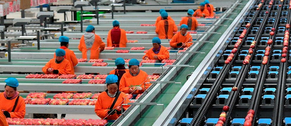 En raison du confinement dans l'un de ses principaux sites de production, à Zhengzhou en Chine, Apple voit sa production d'iPhone être fortement perturbée. (image d'illustration)  - Credit:LI AN / XINHUA / Xinhua via AFP