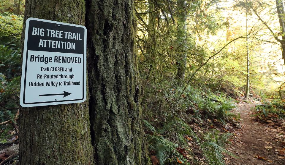 A sign guides hikers along the new route of the Big Tree Trail off of Seabeck Highway in Bremerton.