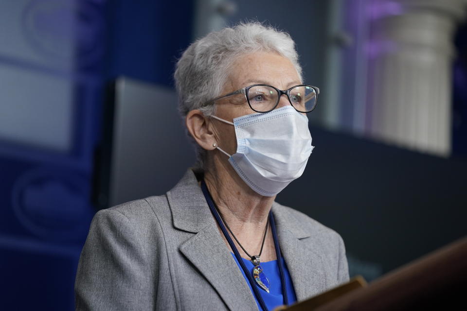 National Climate Adviser Gina McCarthy speaks during a press briefing at the White House, Wednesday, Jan. 27, 2021, in Washington. (AP Photo/Evan Vucci)