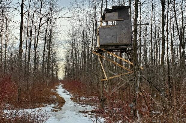 Deer stands, many fashioned out of logs and old lumber, are scattered throughout the Boisé Du Tremblay. There are also simpler stands of metal, ladders topped with a small seat.