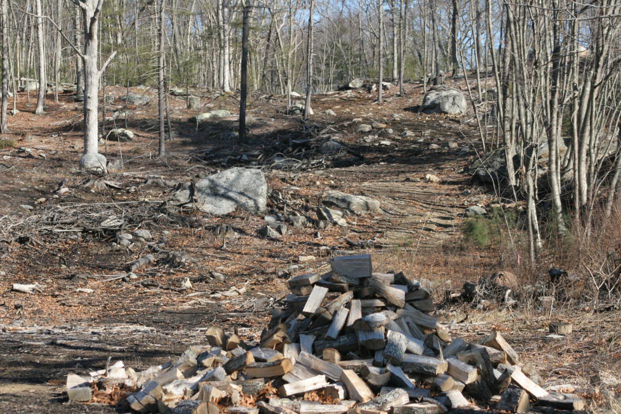 What was once deep forest behind Bonnie and Chris Dibble's home in Johnston was cleared to make way for a transmission line for the proposed solar project, just as the Dibbles were about to close on the sale of their home.