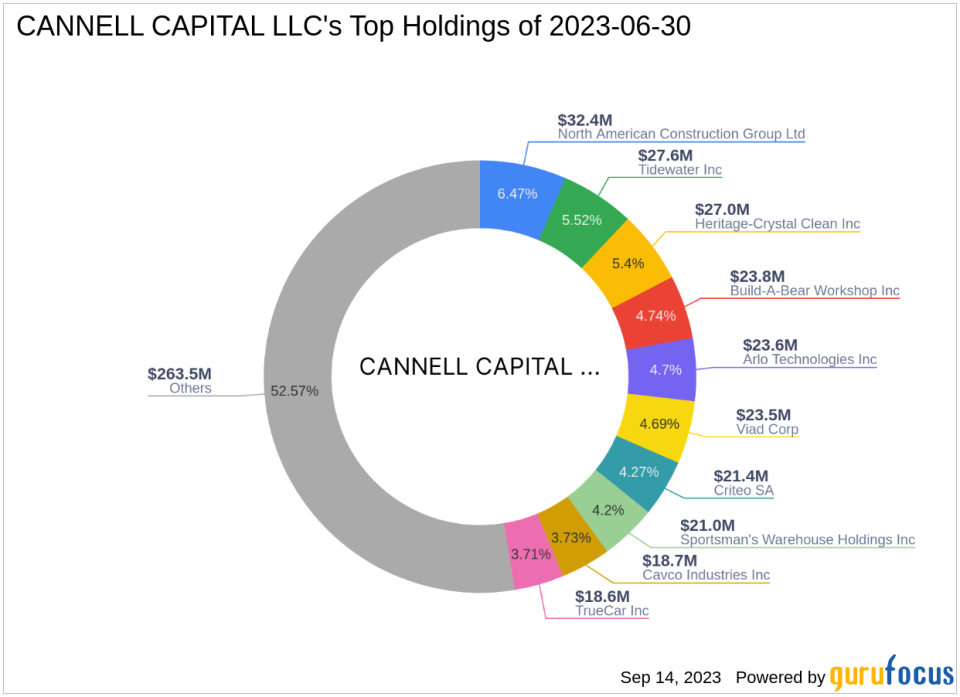 CANNELL CAPITAL LLC Acquires Additional Shares in Sportsman's Warehouse Holdings Inc