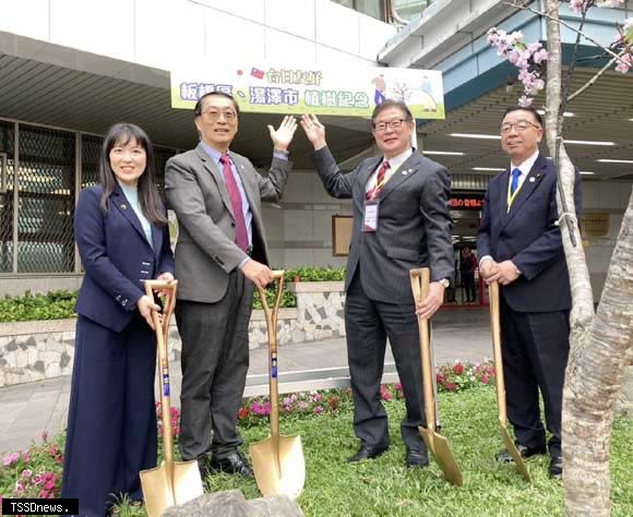 左起為板橋區議員山田摩衣、板橋區長陳奇正、湯澤市長佐藤一夫、及議長高橋肇共同植樹紀念。（圖：板橋區公所提供）