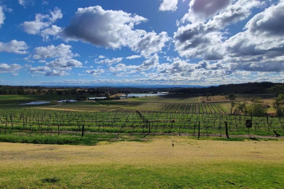 Audrey Wilkinson winery in the Hunter Valley