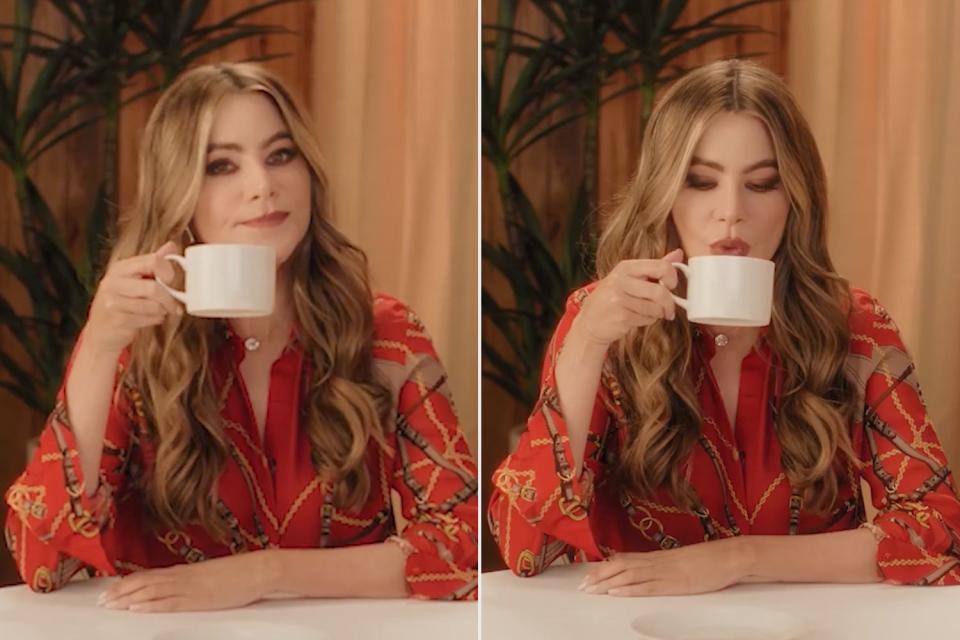 <p>Netflix</p> Sofia Vergara Can Blindly Identify Different Coffees and How They Were Made 