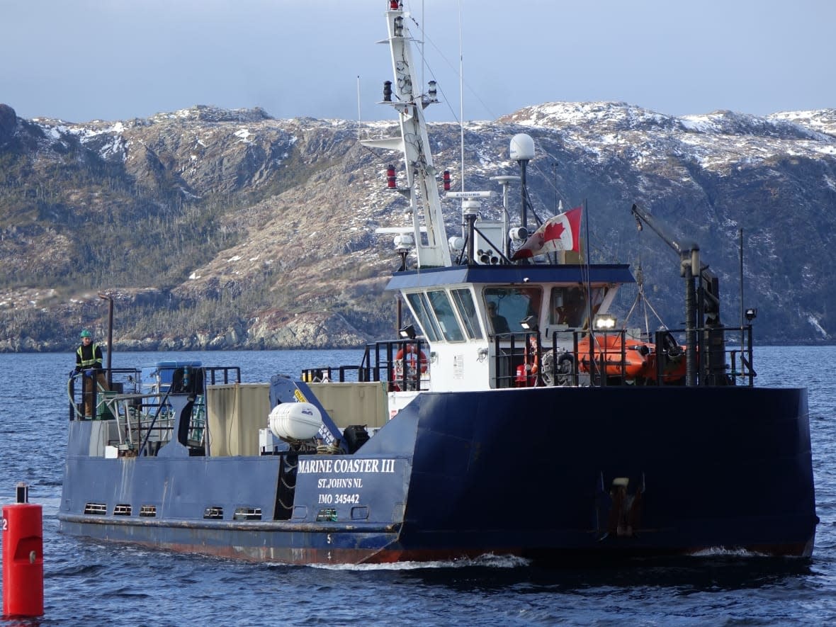 The South East Bight ferry, seen here in February, is among the vessels that made more trips with zero passengers last year, despite schedules being cut due to the pandemic. (Patrick Butler/Radio-Canada - image credit)