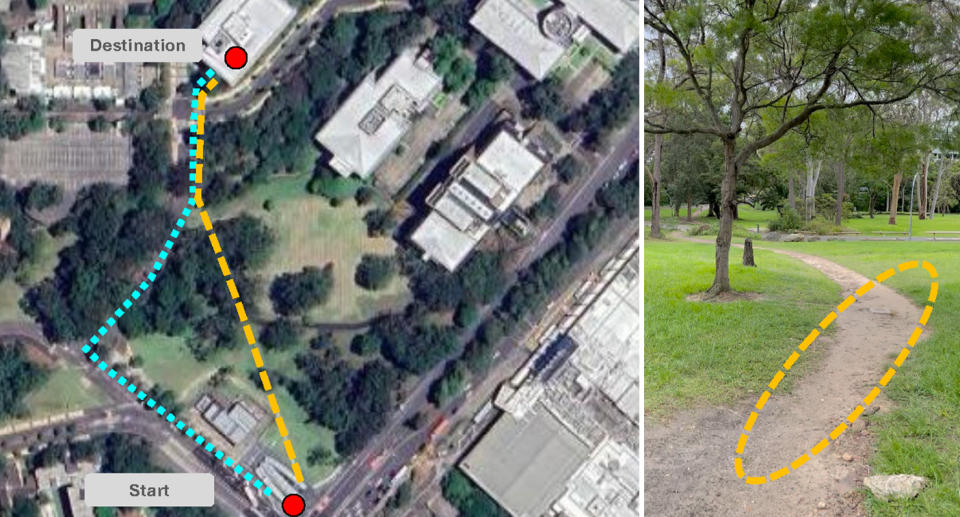 Left - The blue lines indicate the official pathway at Macquarie University and yellow shows the more direct desire path. Right - a photo of the desire path.