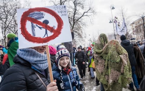 Warsaw demonstrators protesting deforestation  - Credit: Celestino Arce/NurPhoto