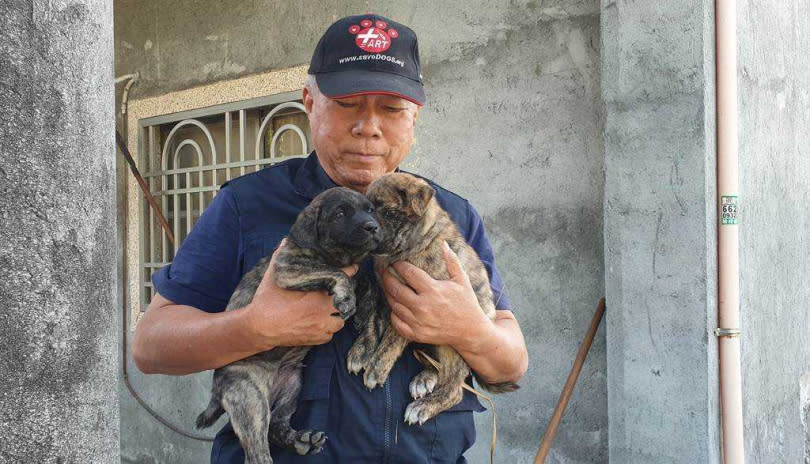 台灣動物緊急救援小組志工在現場另尋獲2隻倖存幼犬，緊急帶回動物醫院安置，暫無生命危險。（圖／台灣動物緊急救援小組提供）