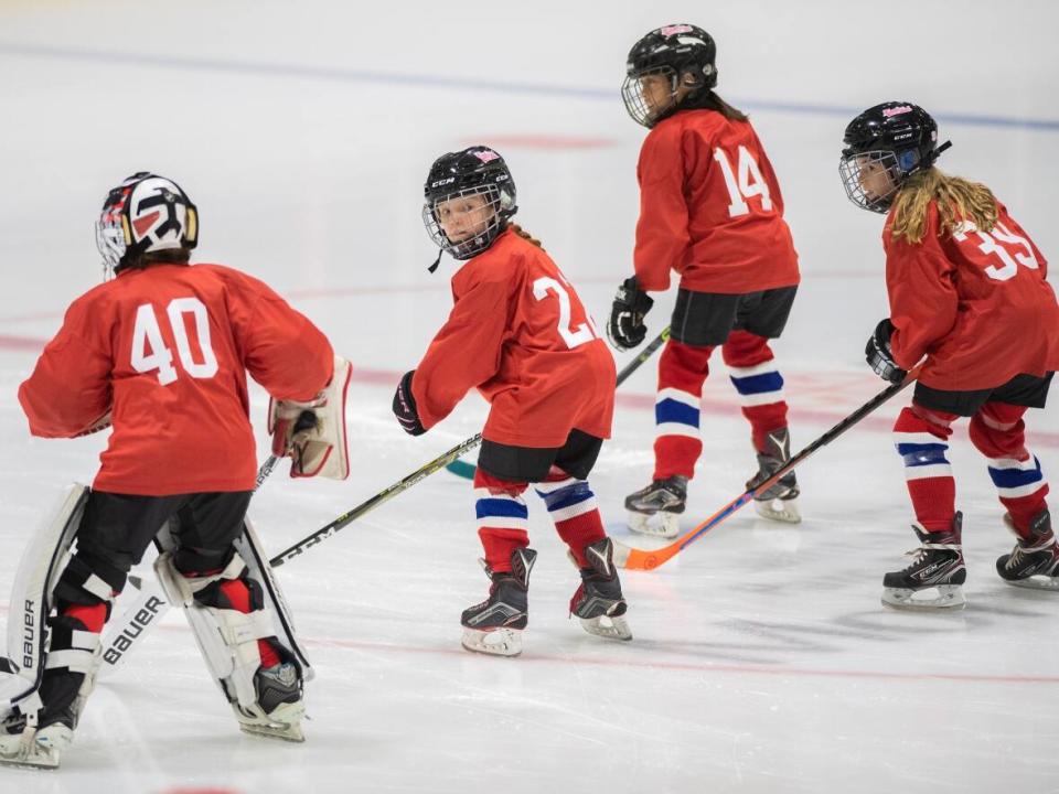 Since Dec. 30, indoor sports have been prohibited in Quebec unless practiced by a single person, by two people or by occupants of the same residence. (The Canadian Press/Graham Hughes - image credit)