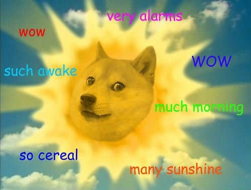 You Know What I MEME? Funny Doge Meme – That's Funny Stuff