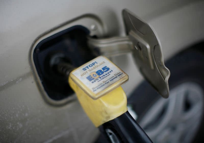 FILE PHOTO: E85 Ethanol biodiesel fuel is shown being pumped into a vehicle at a gas station in Nevada, Iowa