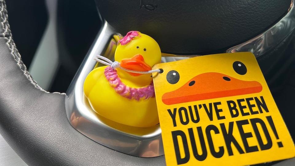 jeep and duck