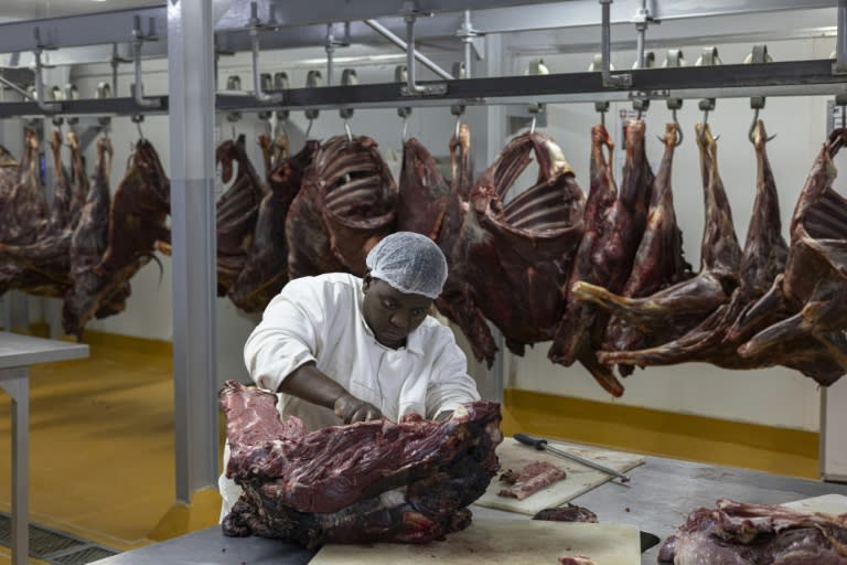 Dans un abattoir spécialisé en viande de gibier, à Bela Bela le 22 avril 2024 (MARCO LONGARI)