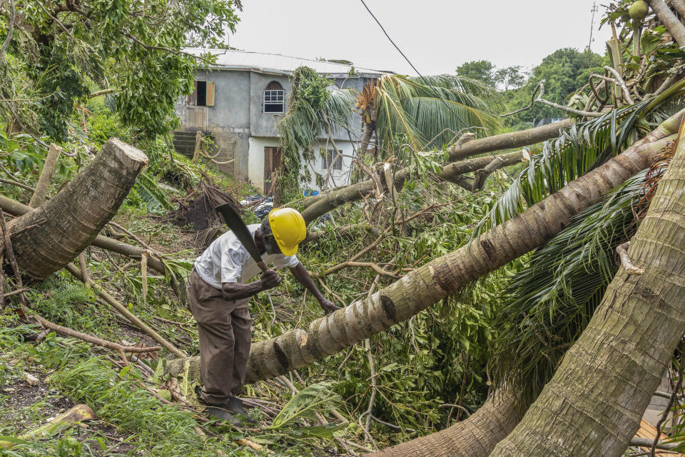 El pastor Winston Alleyne retira árboles que fueron derribados por el paso del huracán Beryl en Ottley Hall, en San Vicente y las Granadinas, el martes 2 de julio de 2024. (AP Foto/Lucanus Ollivierre)