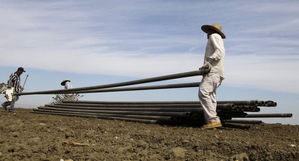 FILE - In this June 25, 2013, photo, workers move irrigation pipes from a field in the Westlands Water District near Five Points, Calif. A California judge has declined to validate a permanent water contract between the federal government and the Westlands Water District, the nation’s largest agricultural water supplier. (AP Photo/Gosia Wozniacka, File)