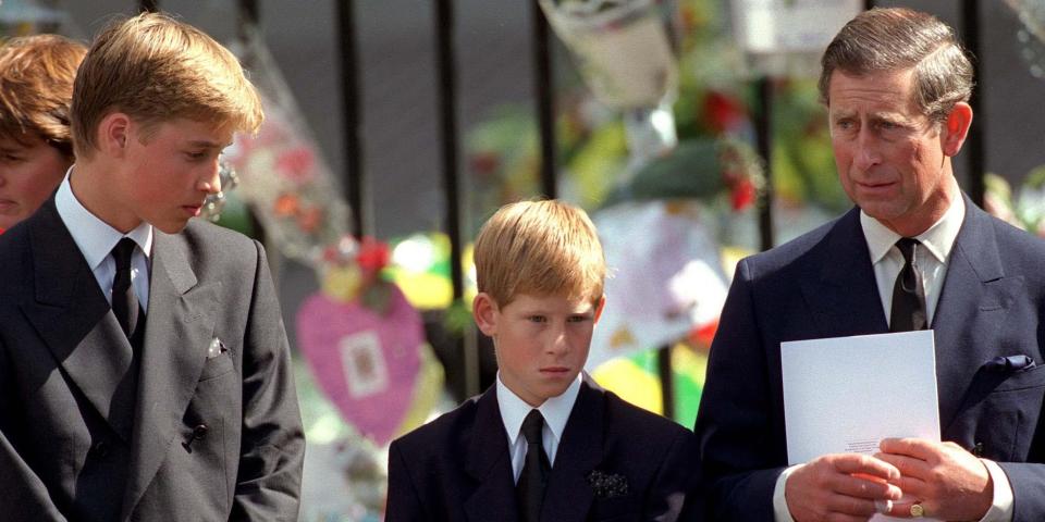 Prince William Charles and Harry 