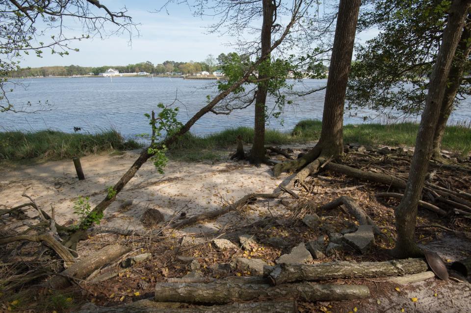 Tthe Delaware Botanic Gardens near Dagsboro has close to 1000 feet of water front views.