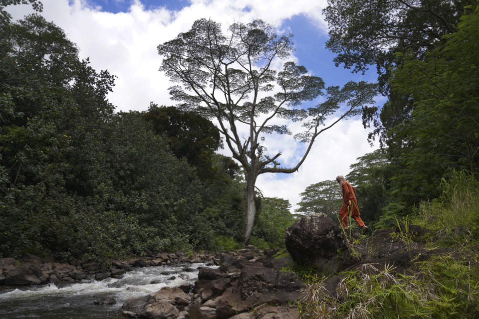 Paramacharya Sadasivanatha Palaniswami climbs the rocks along the Wailua river, which is sacred to many Native Hawaiians, at Kauai's Hindu Monastery on July 13, 2023, in Kapaa, Hawaii. The monastery was founded by guru Satguru Sivaya Subramuniyaswami in 1970. (AP Photo/Jessie Wardarski)