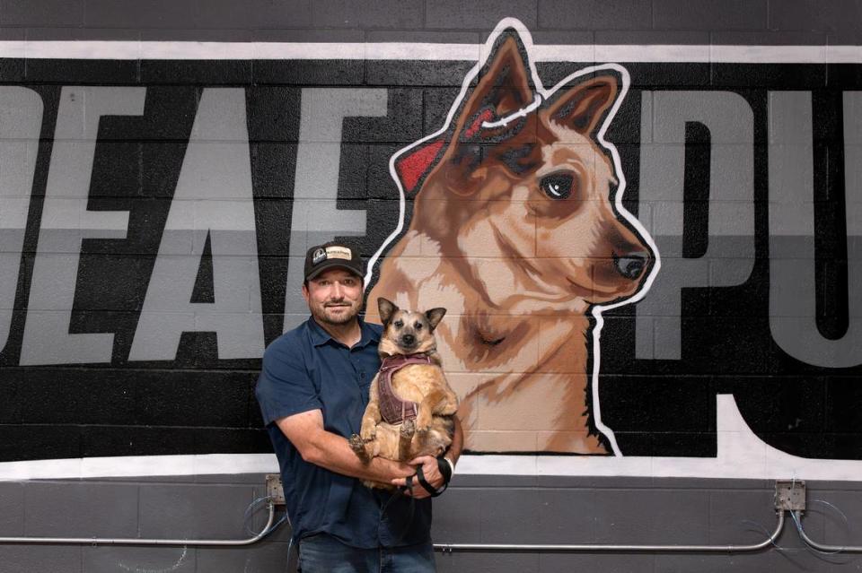 Owner Chris Teicheira holds his deaf dog, Banshee, at Deaf Puppy Comedy Club in Manteca, Calif., Wednesday, Sept. 20, 2023. Andy Alfaro/aalfaro@modbee.com