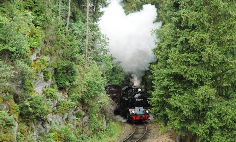 Dense forest shrouds the narrow gauge track.