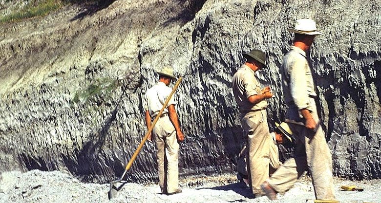 Geologists examine Folsom deposits at Lubbock Lake, 1949.