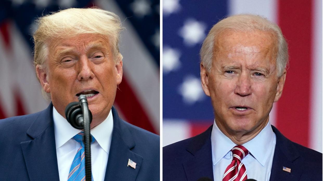 Donald Trump bewirbt sich um eine zweite und verfassungsgemäß letzte Amtszeit, der frühere Vizepräsident Joe Biden will ihn ablösen.