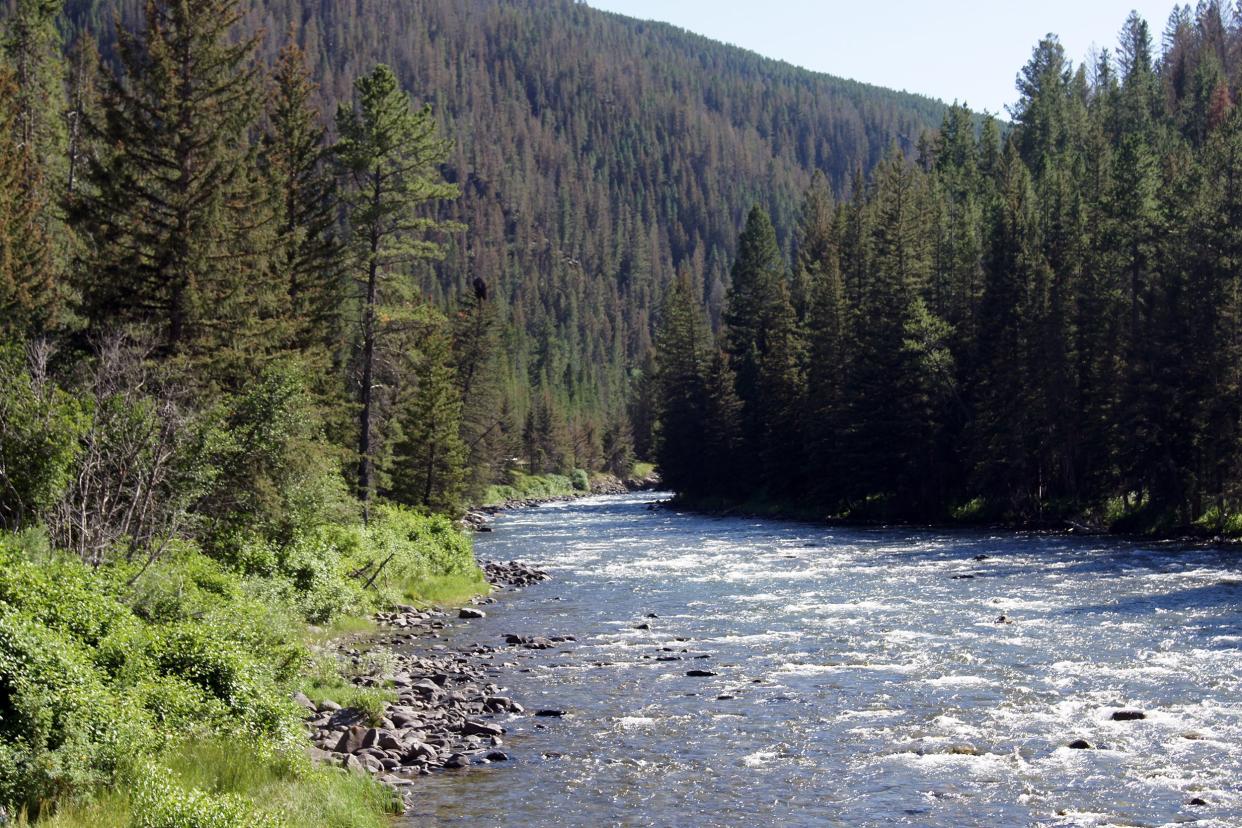 Gallatin River, Montana