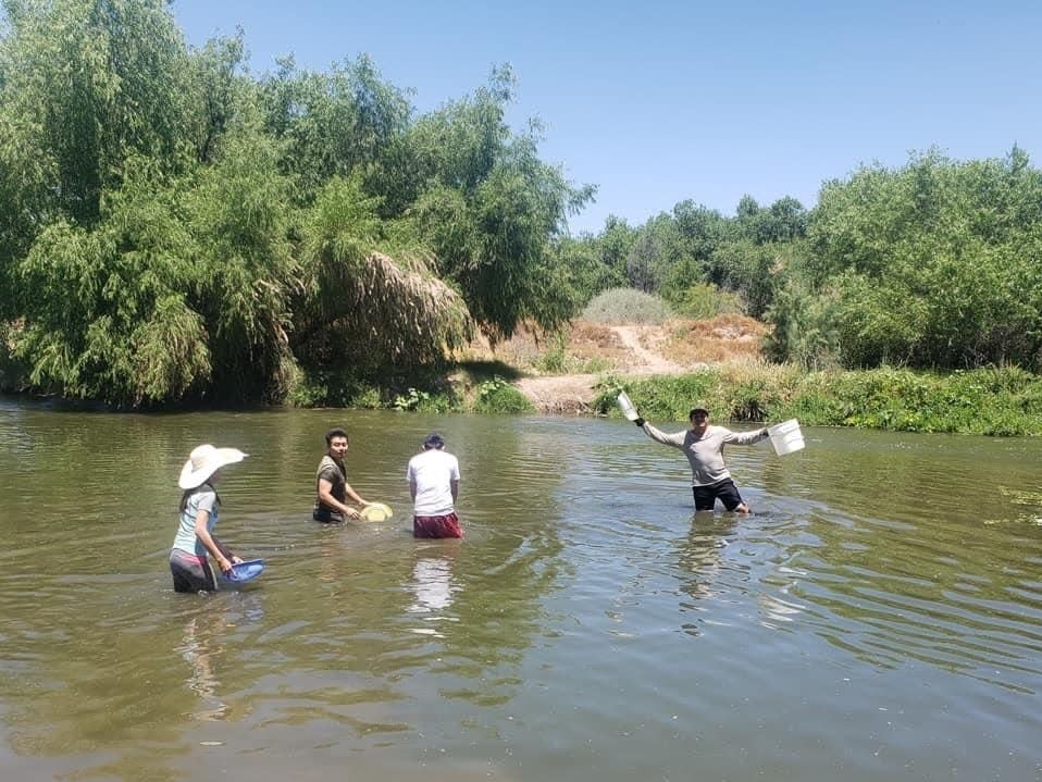 Clam digging in Arizona rivers is a summer pastime for some Cambodian Americans.