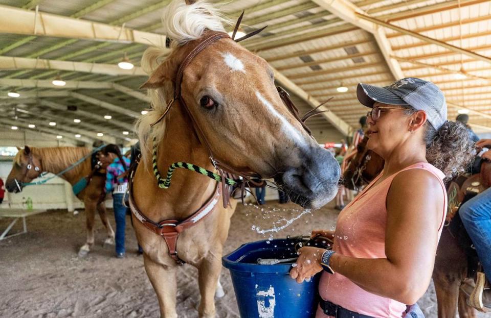 Andrea Akers offers Diamond, a Palomino Quarter Horse a drink of water from a five-gallon bucket as Diamond prepares to barrel race during the 2022 NC State 4-H Horse Show at the Hunt Horse Complex at the N.C. State Fairgrounds on Wednesday, July 6, 2022 in Raleigh, N.C. Robert Willett/rwillett@newsobserver.com