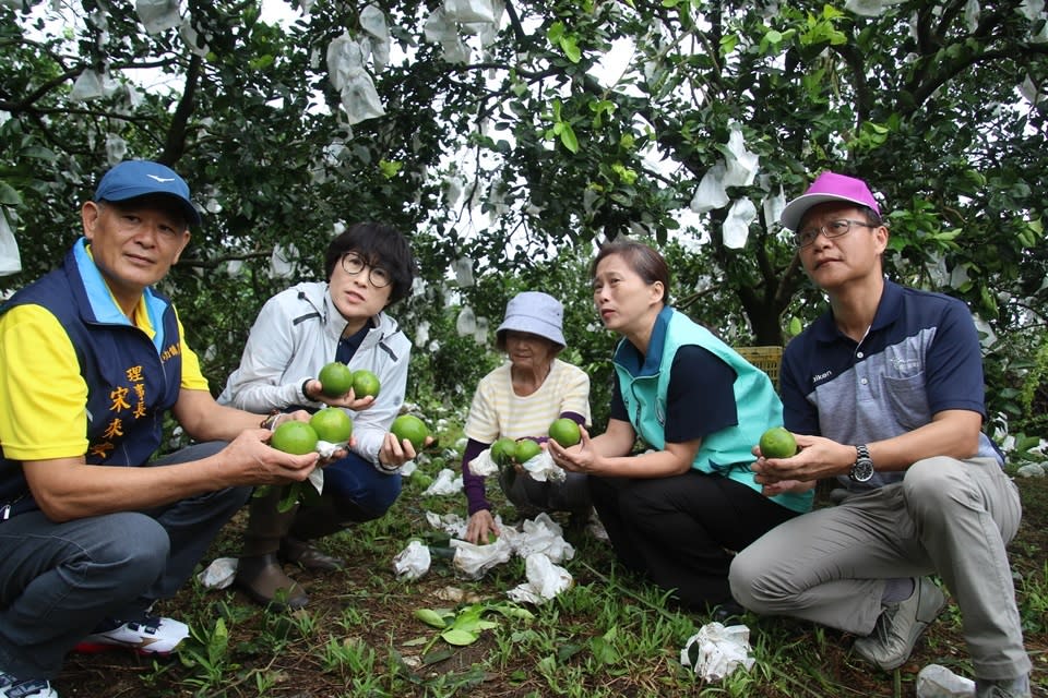 海葵颱風強襲，臺東農作物受損嚴重，災損超過6億元。