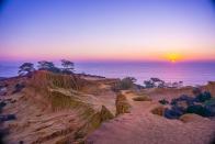 <p>The Torrey pine grows only in San Diego and on Santa Rosa Island off the coast near Santa Barbara, which is why the <a href="https://www.parks.ca.gov/?page_id=657" rel="nofollow noopener" target="_blank" data-ylk="slk:Torrey Pines State Natural Reserve;elm:context_link;itc:0;sec:content-canvas" class="link ">Torrey Pines State Natural Reserve</a> is a protected area. But visitors can still bask in its natural beauty while getting some steps in. Pro tip: To maintain preservation, no food is permitted on the reserve, nor are dogs, smoking or amplified music.</p>