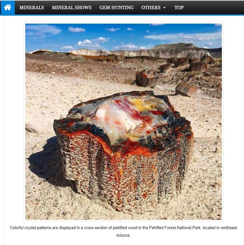 This photo of a piece of petrified wood in Arizona appeared in an online geology newsletter in late 2019.