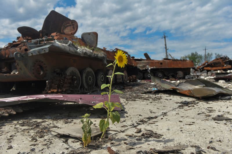 Continúa el ataque de Rusia a Ucrania, en la región de Járkov