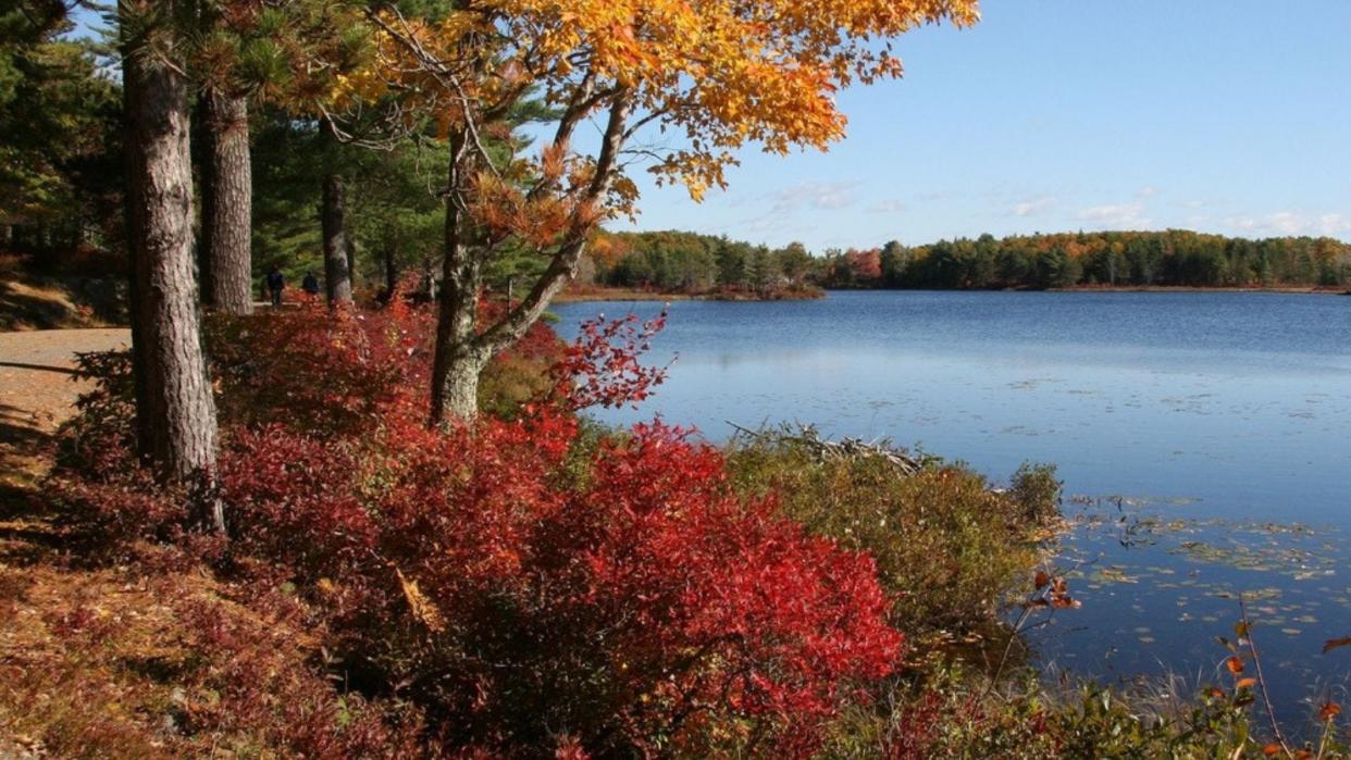 Acadia National Park’s historic carriage roads are the perfect way for hikers and bikers to enjoy fall color.