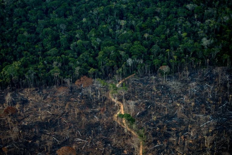 Vue aérienne d'une zone de déforestation de l'Amazonie, le 15 septembre 2021 à Labrea, au Brésil - MAURO PIMENTEL © 2019 AFP